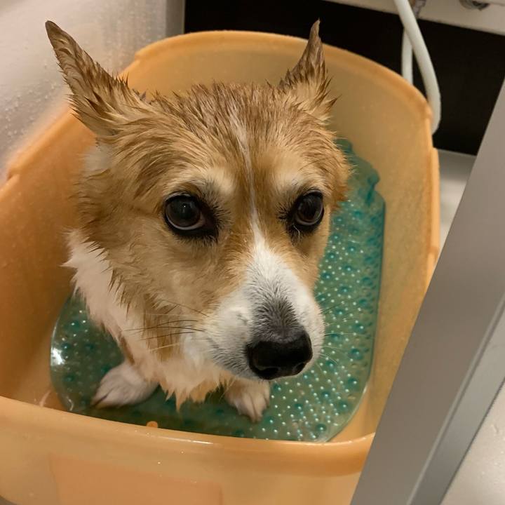 3020df8b 5335 4b78 9adc 4b41f94ebd51 1698139324109