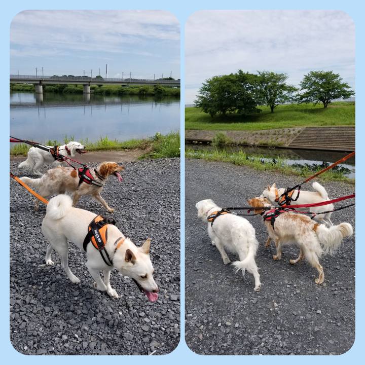 3020e3f7 48e2 470f 93af 9138f426f3b1 1658111704106