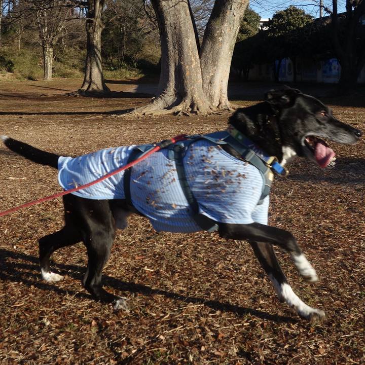 302102f3 0ebc 451b 80f4 18aa9082ca2a 1707613667090