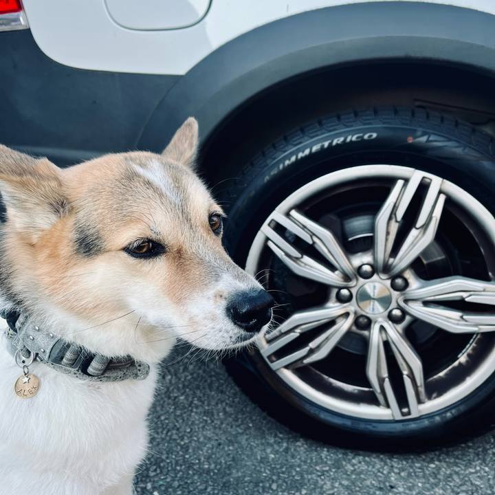 302169f5 b60c 4d5f acf7 88779863c693 1763618769906