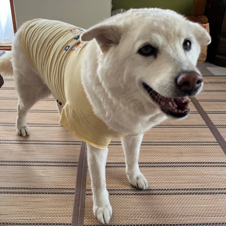 30216cda 476a 4aad 8ea7 f00ea2ed28a2 1762905990516