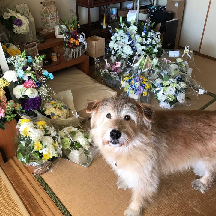 302188e1 2569 49f5 948c d7ad22a94df2 1638524423636