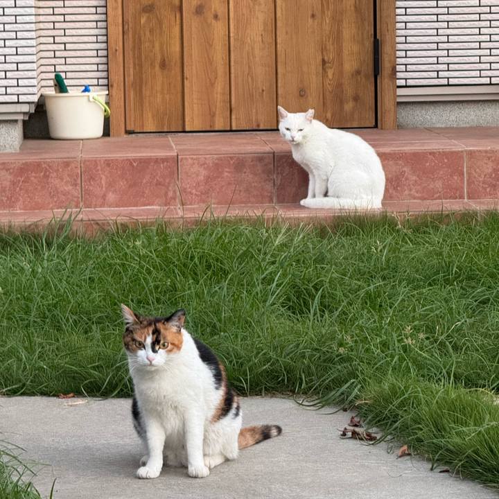 30219943 c69f 4c7a 8e27 6e2bcda0e03d 1754604961376