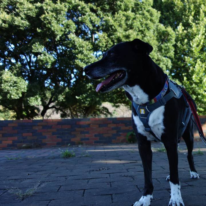 3021da94 096c 477f 89ee 0151d15cff3b 1727309993232