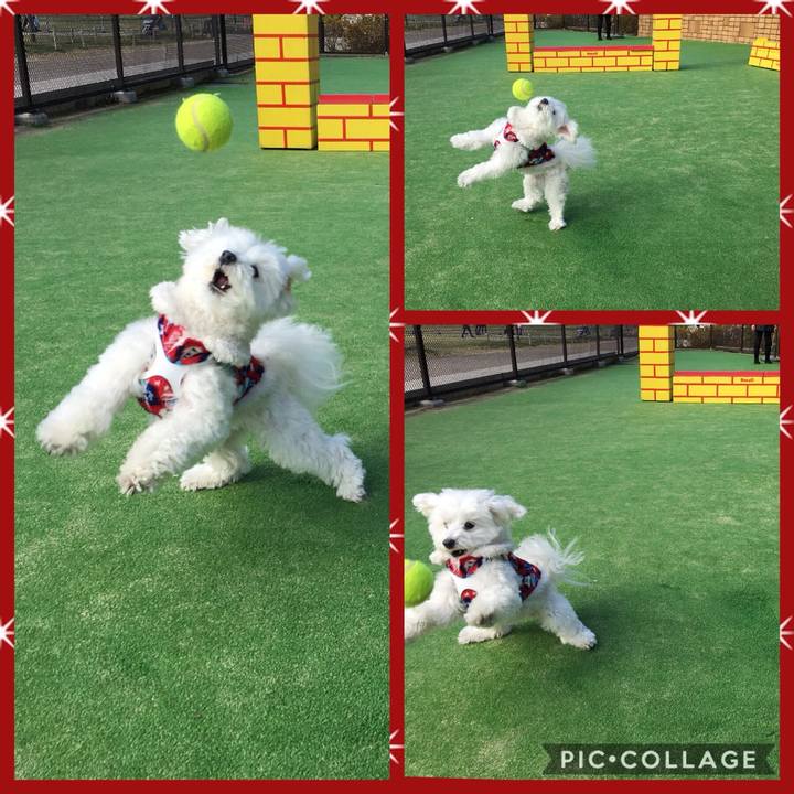 3021e35f 5199 4ada bebf e2adb0cee1f8 1513225613266