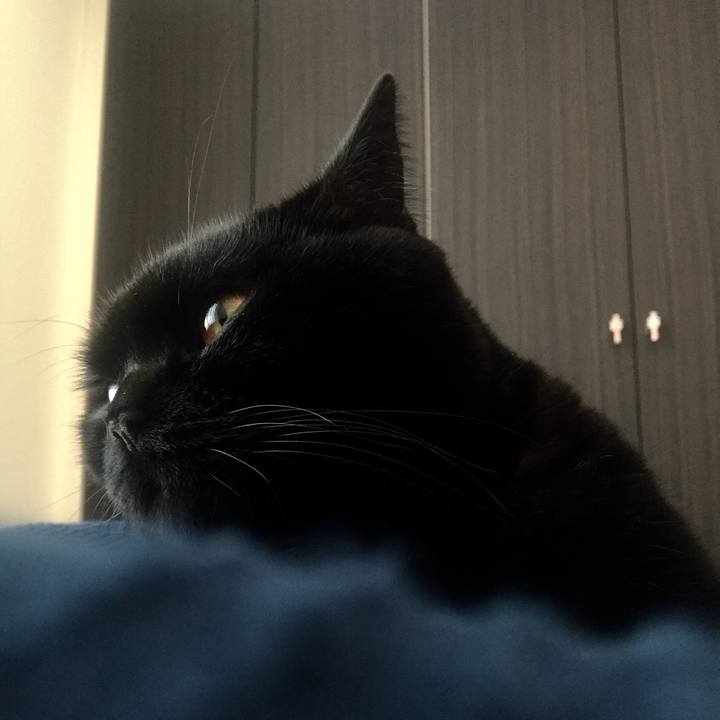 30221571 f71b 49ce b0e8 ec3d0934eda1 1573354798290