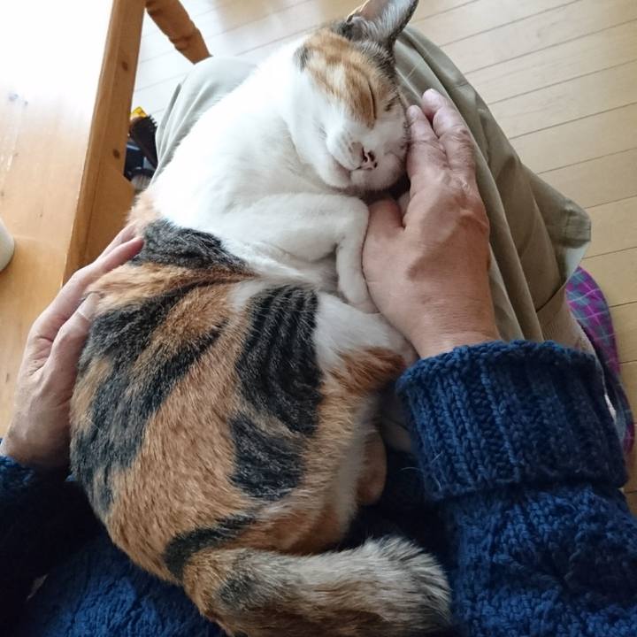 30221c2c 9e19 4f42 844e 074fc6c962e5 1546320131437