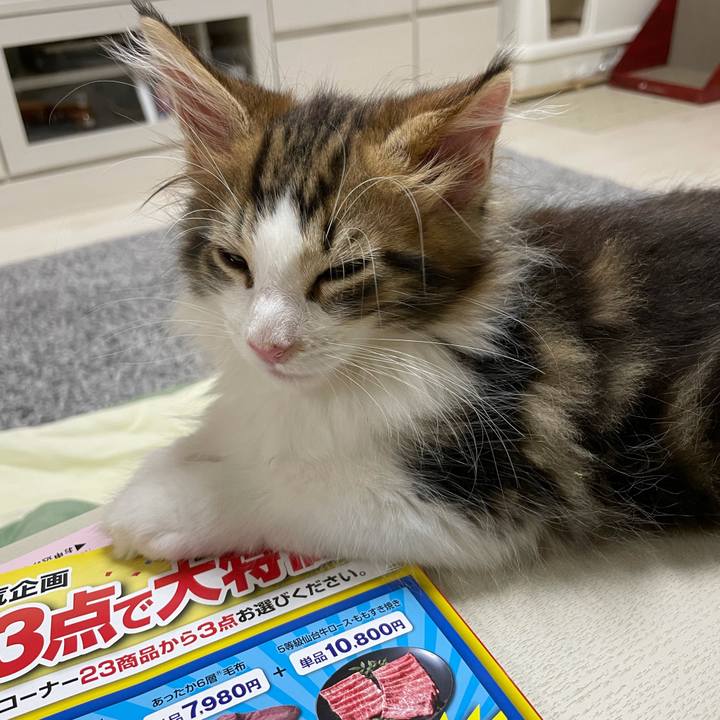 302244af 6b98 4b73 8714 89c17444b2b6 1631953650604