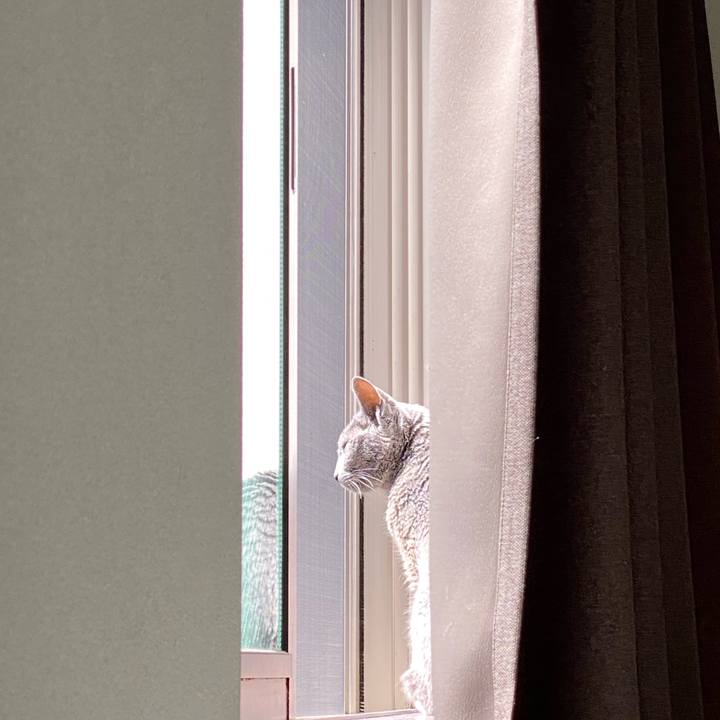 3022f939 a8f1 4beb 969d 574c2b4ddcea 1622187161309