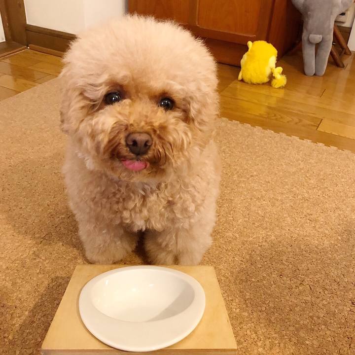 30230be0 353b 435c a61d 33af0a247a24 1507713992678