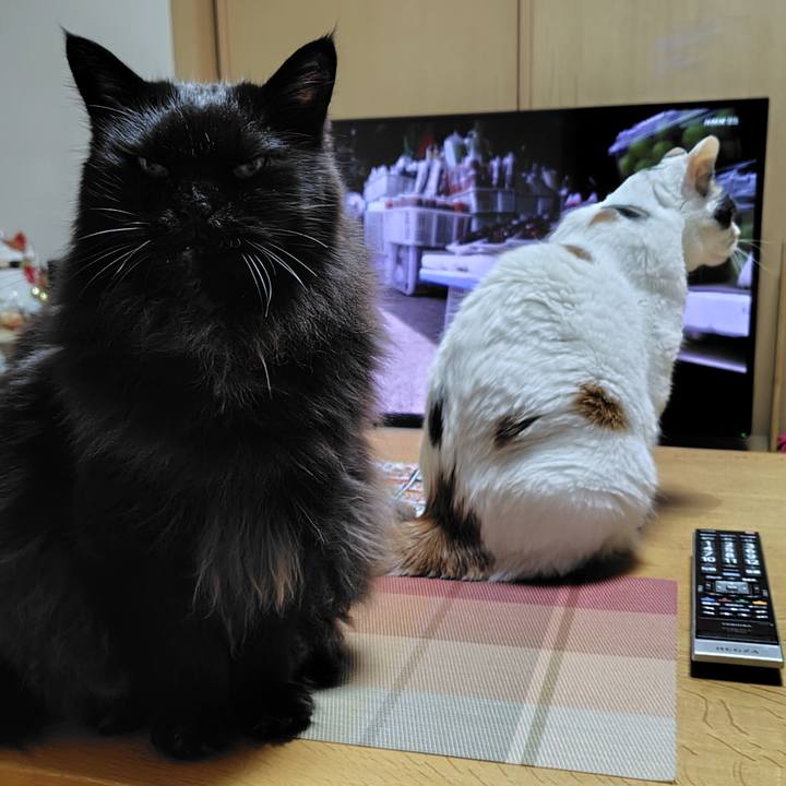 30232a81 0d00 4077 8b08 00283ccd017c 1767958648812