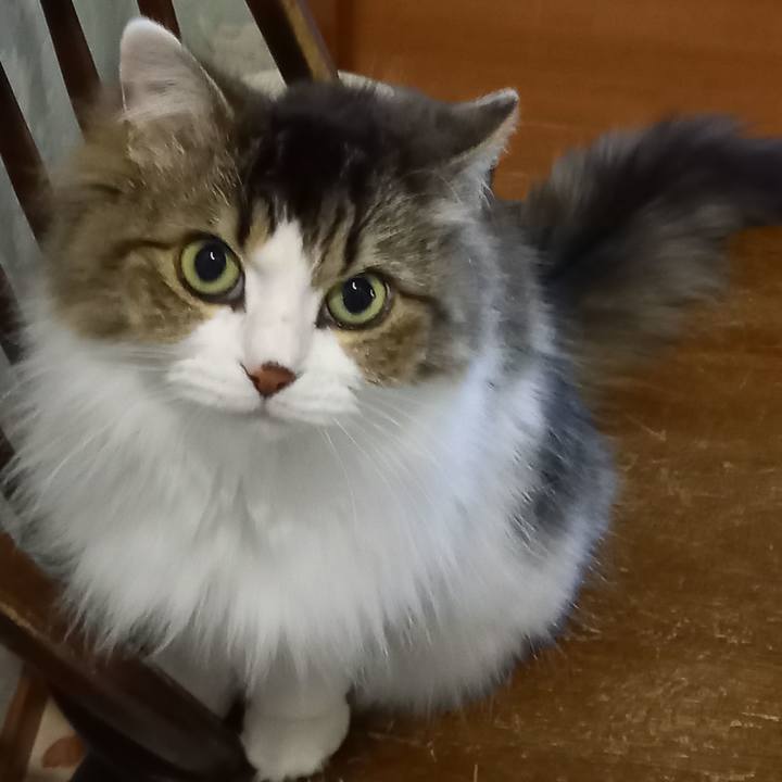 3023303f 8e52 48d2 9031 e39b473cc0fc 1609835228816