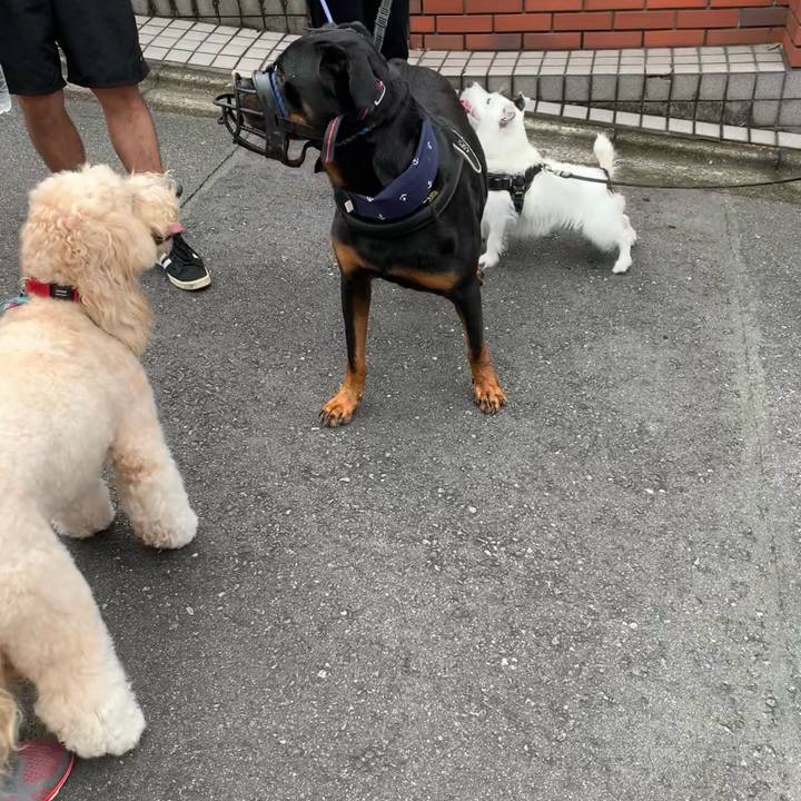 302350e6 7289 42d5 9b11 34c1ba9ccc31 1661037308987