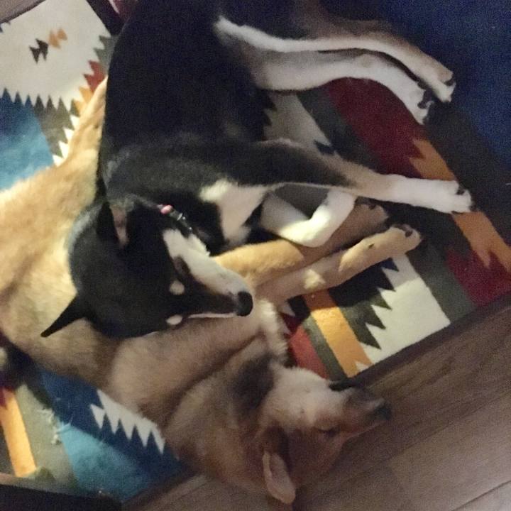 30236145 8b49 4af8 ae40 396bce16e9f2 1511566535433