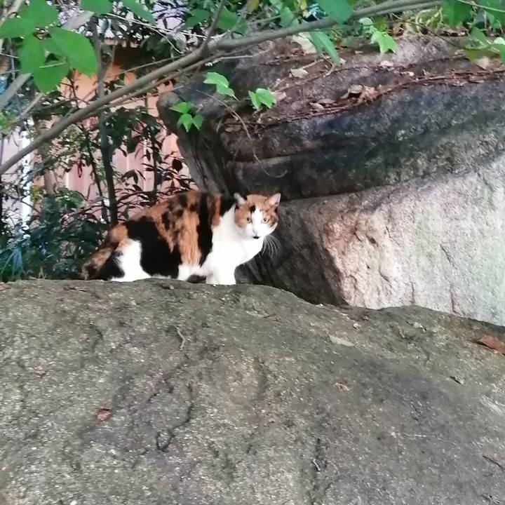 30236ee9 884b 4662 91f2 c246b326aa46 1631220929625