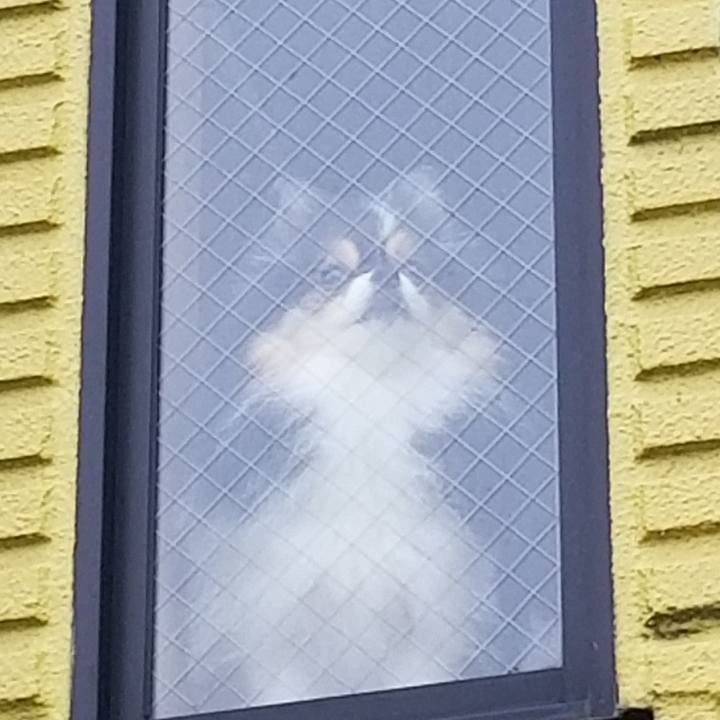 30238b5e 3d8c 40e2 bc5e dc8f317f45b5 1535498525769