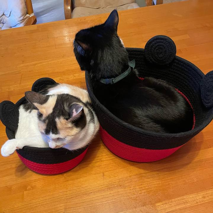 30239d24 ef04 4da5 b33e c18694971e51 1739777851133