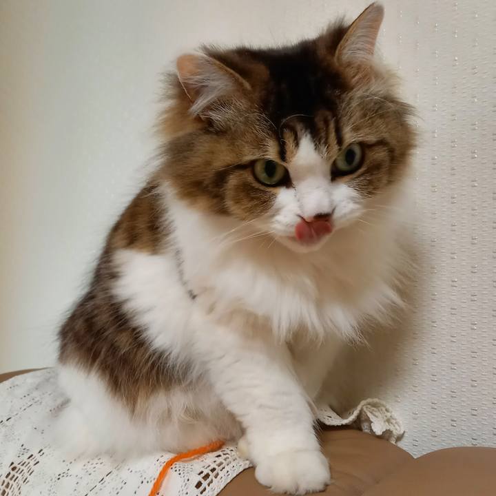 3023e153 7a6a 440a bf81 06900d0a7813 1610148191835