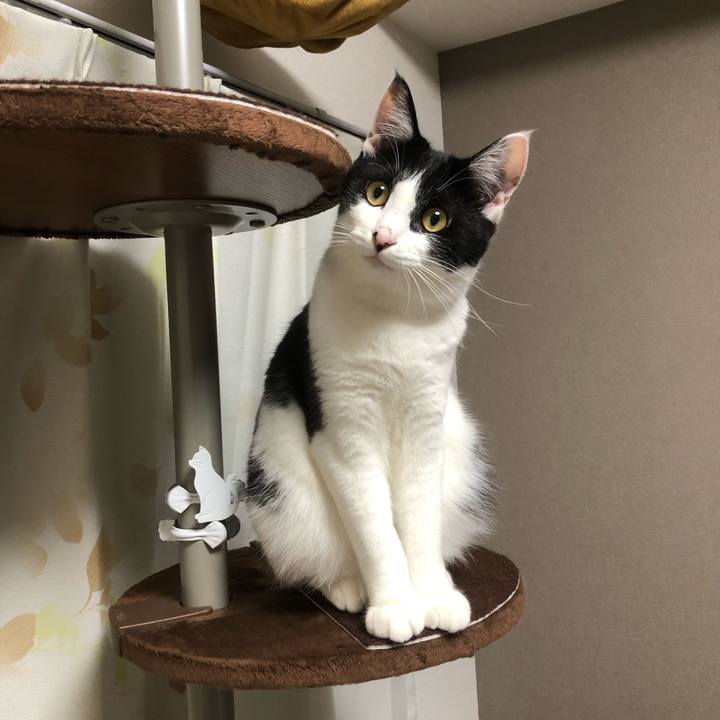 30240f0c 89be 43b2 9366 3edd2580afea 1623502584402