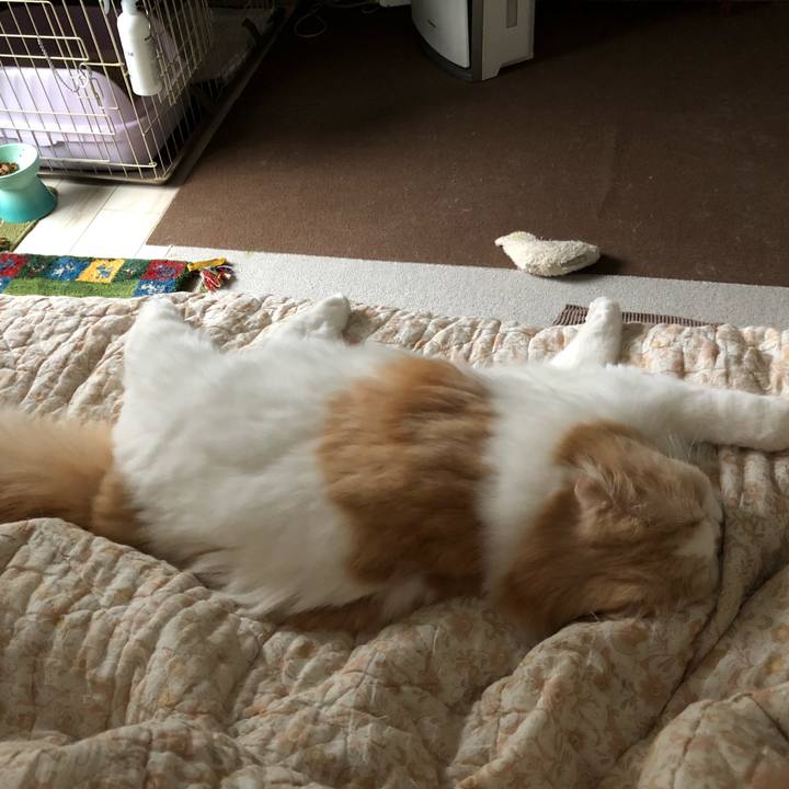 30242a91 814d 47f1 8236 3ed1f3ec19b6 1621638157122