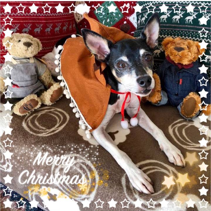 30242adf cdb1 4379 933a f6318cceba05 1545690792121