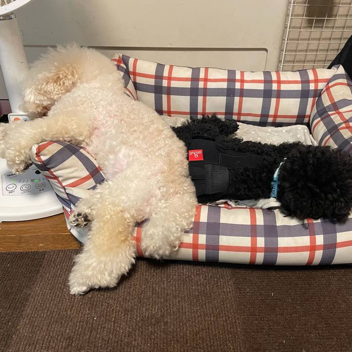 30246719 cda7 4d28 a6a5 7c3b0171496c 1758749436890