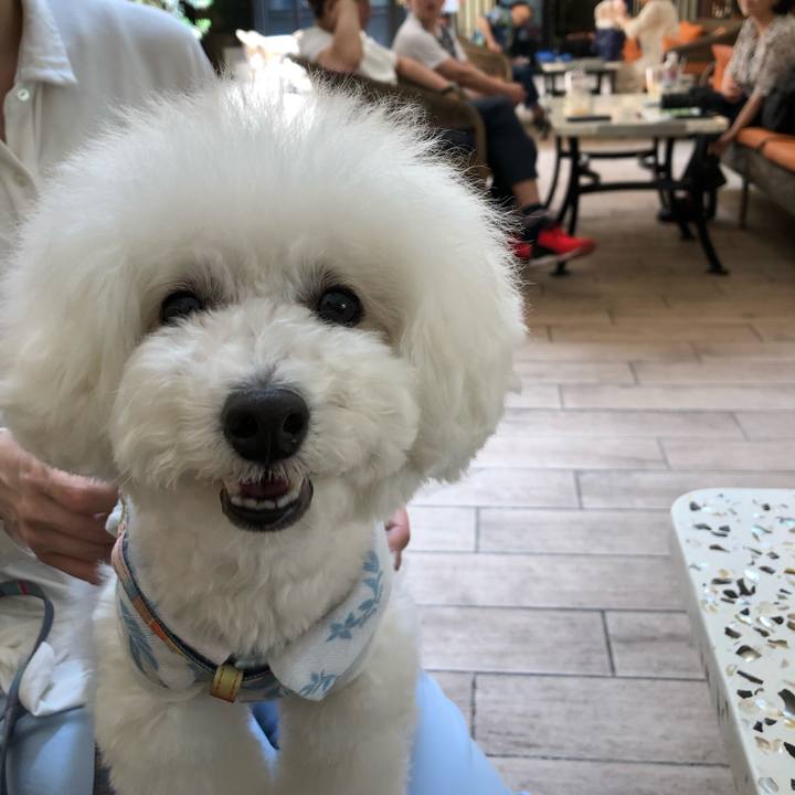 30246840 4d82 4840 b1a7 8dd17426032e 1560337913478