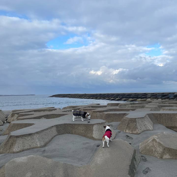 30248889 b835 4e8a 991d 6e23c3d8dbdf 1773190596719