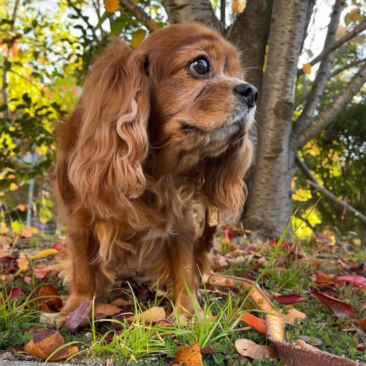 3024d6b3 0e10 49a6 801e b2229460caf2 1698971264632