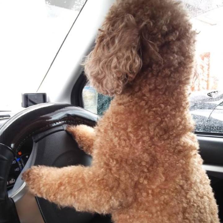 30253dc8 5502 4c41 a622 64a67279f5a6 1597331490145