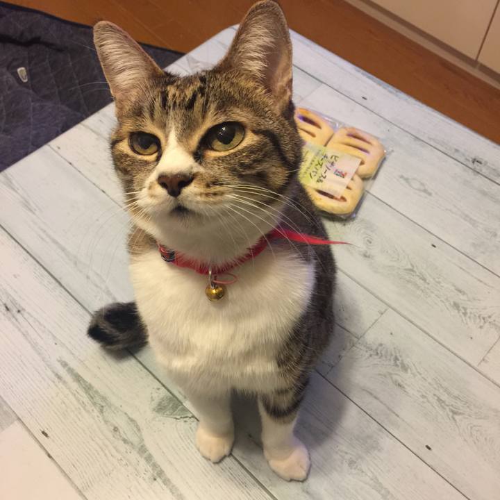 30255cab 441d 46f2 9612 8ddc61c92cc4 1547126152860