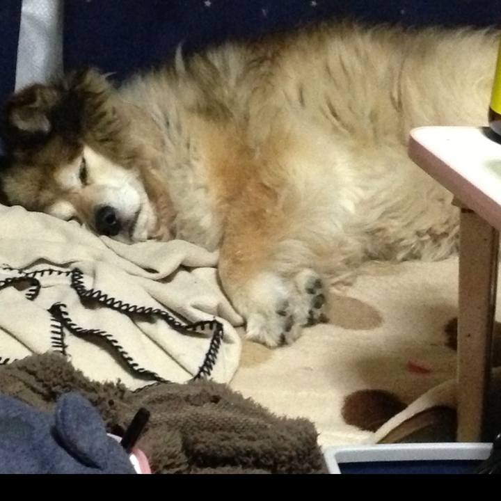 30256bd3 2bca 46dd 9294 c02f5ee6fcbe 1636726053376