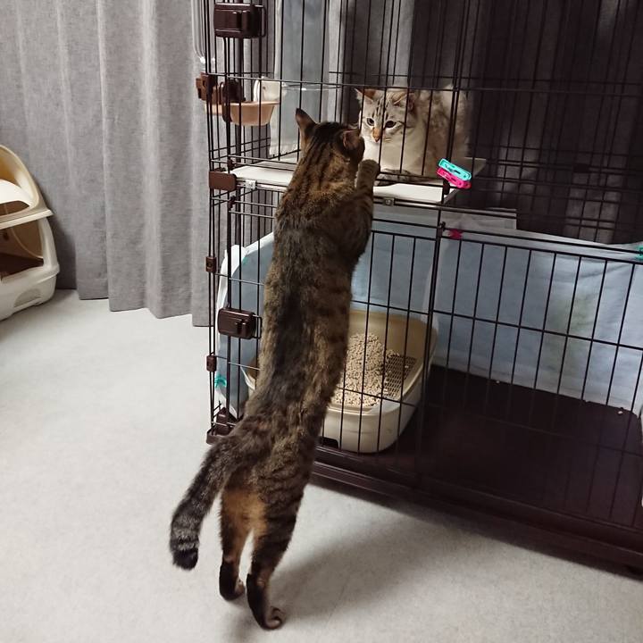 302584b4 781e 42cc be2a d1e5ca87f069 1566905322781