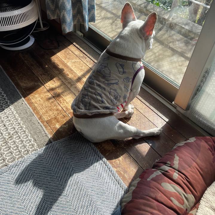 302591d3 d3d2 45ec 888d 24afab0703b5 1735609570211