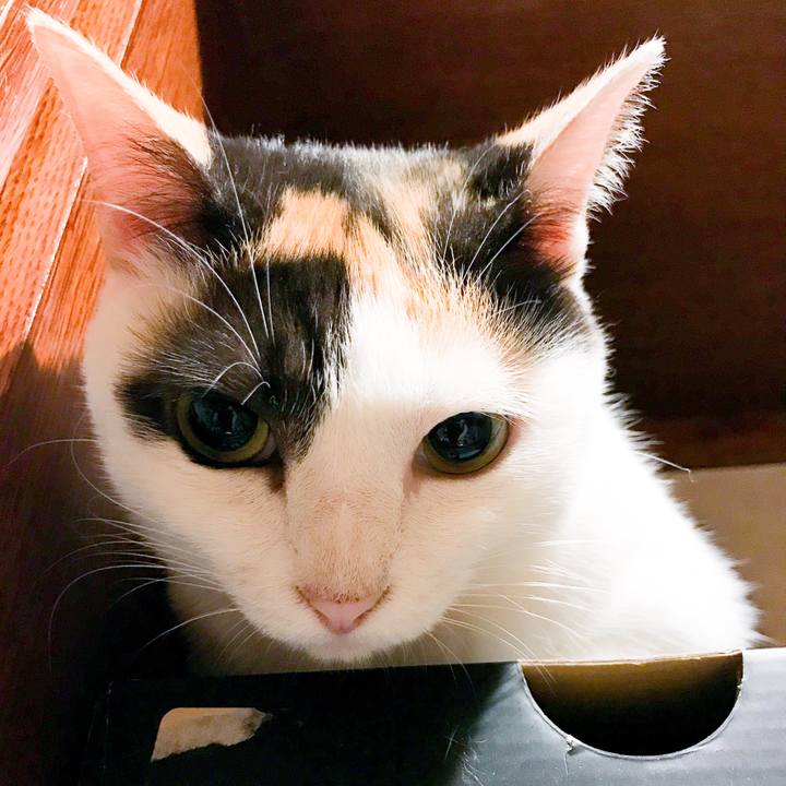 30259d52 b1c8 4f9b 8f2c 910672ba8a0a 1533392121141