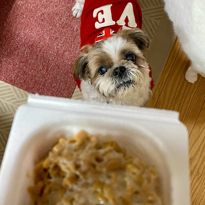 3025bab8 c25a 4ce1 8da9 a0dc11fa7e47 1667814848382