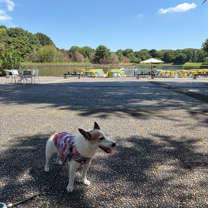 3025c1c1 a953 4fcc bf01 572362928a43 1757373495627