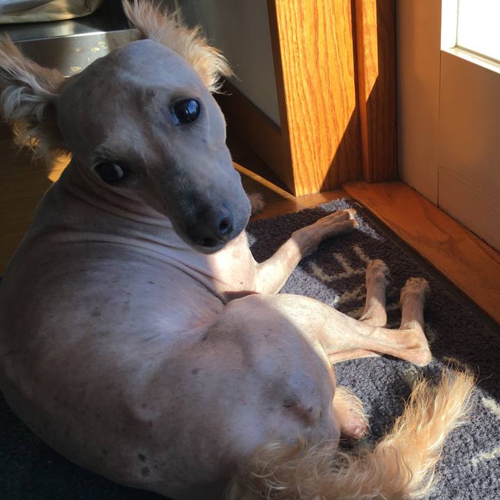 3025d3c9 055f 4b68 b31e 9957b5ff1920 1597566765198