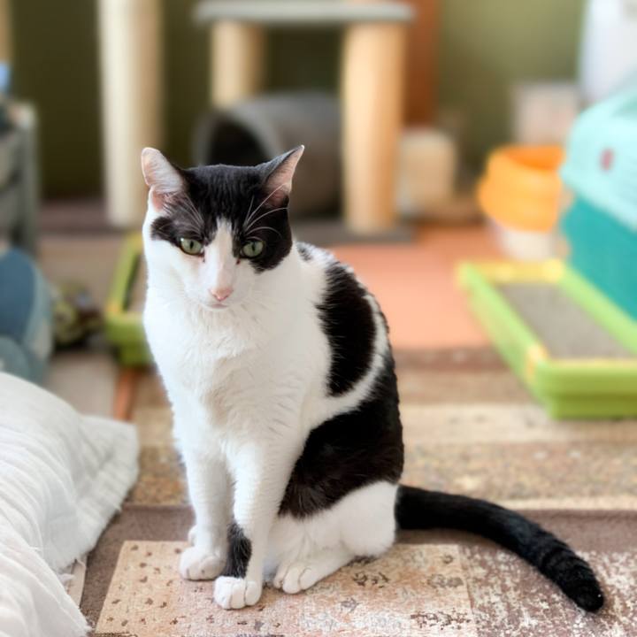 30260a17 5f7d 40fb b5ca feb87497d6c6 1600824987973