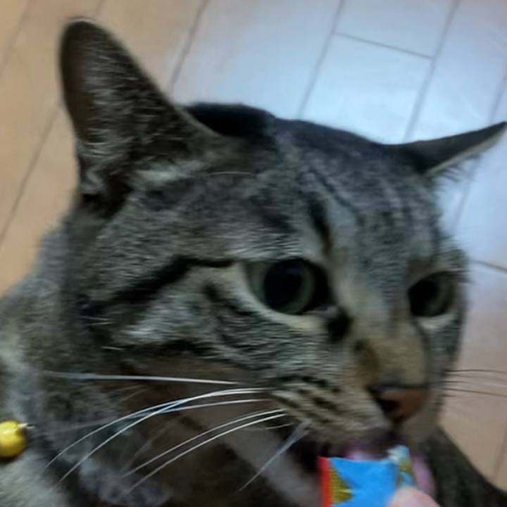 30260d61 6dfd 4236 9415 9380133395e1 1615524752393