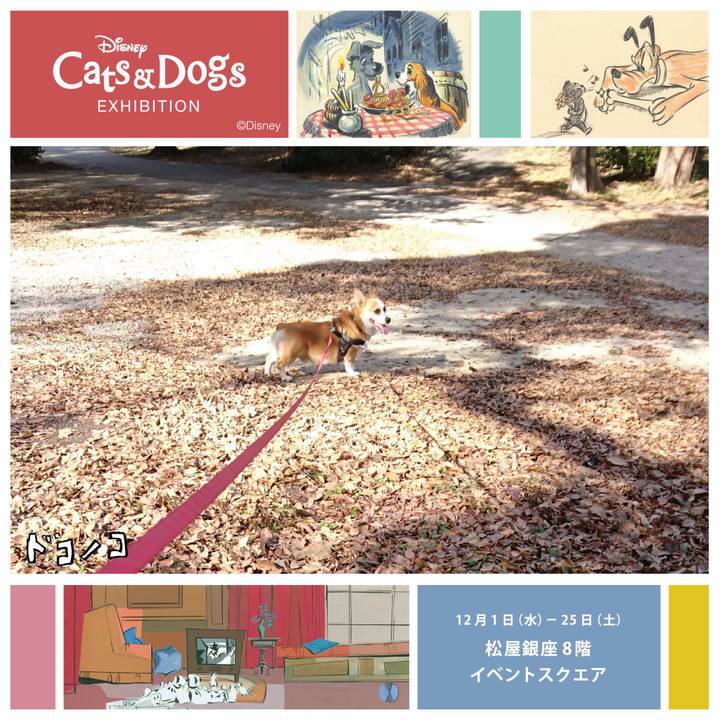 30267bc0 1a88 4028 82b3 15b65c279f47 1638497575917