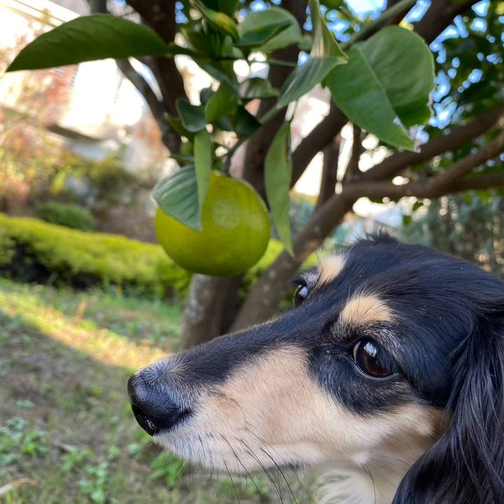 3026bebd 8bc3 43d9 a7fa 14da86c60583 1763265837788