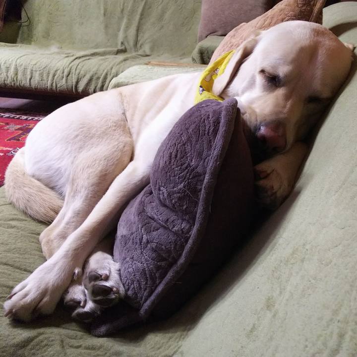 3026cba2 518a 4650 9eb9 7ee41b83fd86 1547098024939