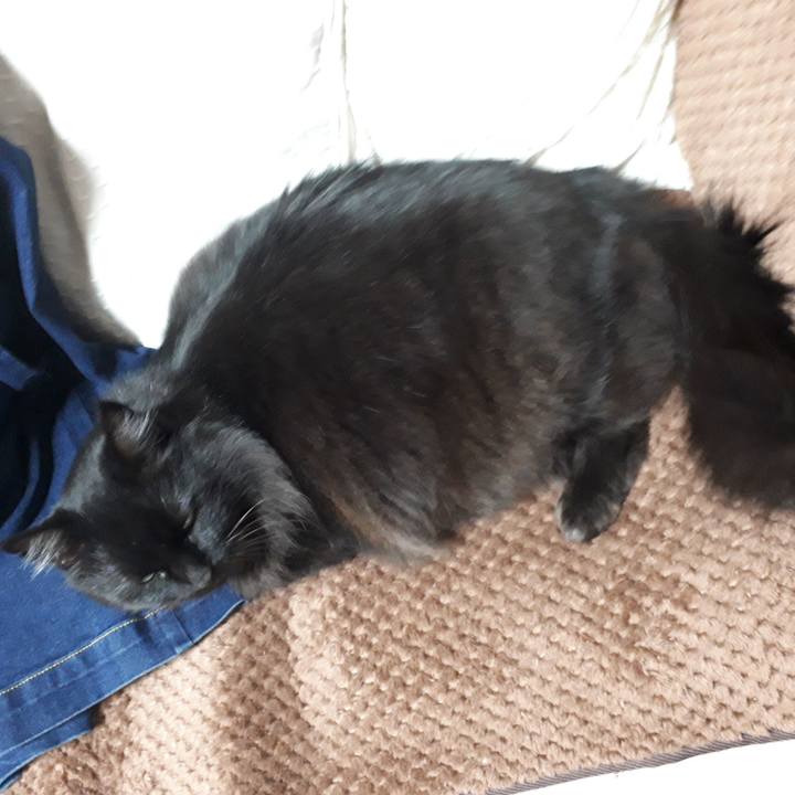 3026feab 0cd2 4708 ac64 311959ba19a9 1519164158574