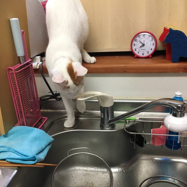 302741d9 68ef 4e91 9fc7 2f20fe8ab25d 1508165899635