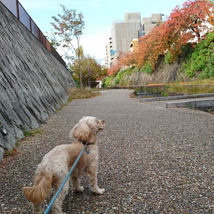 30277941 2c22 47a8 8db0 52943f452ad4 1573976528373