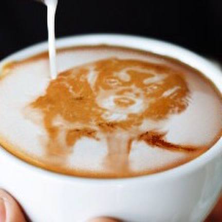 3027a96b 5b95 40bf ac50 1738ce990f0c 1510363146079