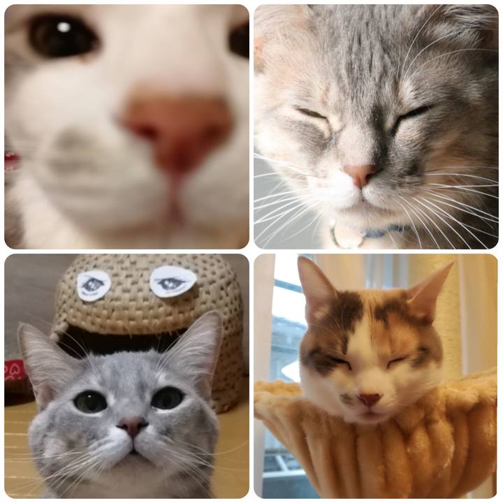 3027bae4 6ca9 4614 a7d7 346aaf6c392c 1550107867671