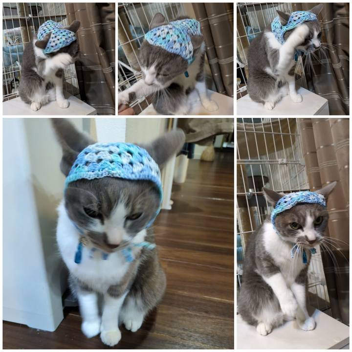 3027c342 f7d4 489b 8e6b a356da16f4f9 1762858021116