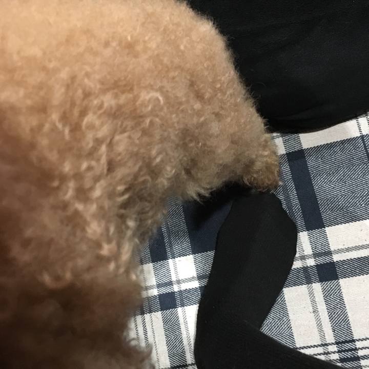 3027e272 1dcd 4fd8 96fe 60fdaa481dbd 1558609707028